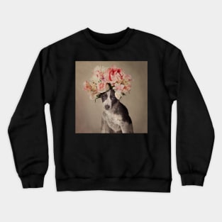 Shelter Pets Project - Opal Crewneck Sweatshirt